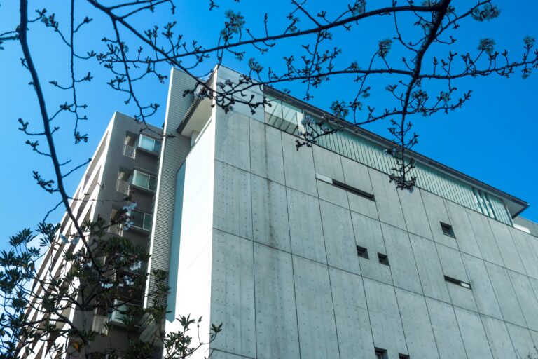 Sharing the Spirit of Thanksgiving: How LUJ Fosters Cross-Cultural Community in Sumida